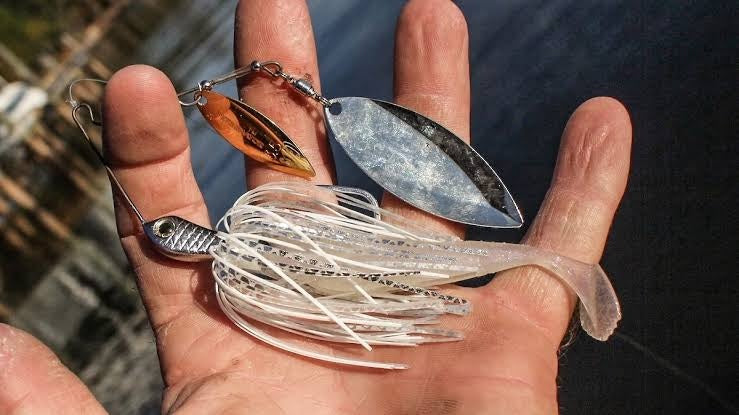 The Correct Way to Rig and Fish a Spinnerbait