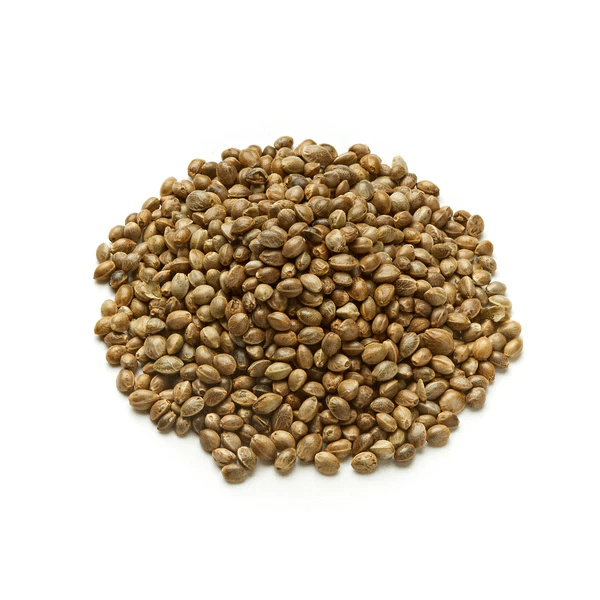 hemp seeds for planting south africa Hemp Seed – Western Accessories